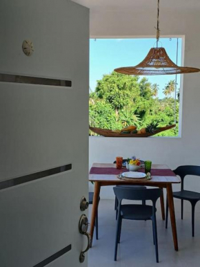 Penthouse a Las Terrenas la playa 5 min a piedi